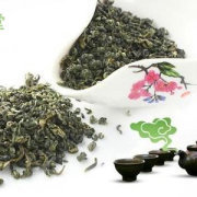 [娱乐/互动] 罗布麻茶生产厂家 | 新浪微博 | 微活动 - 惊喜你的生活