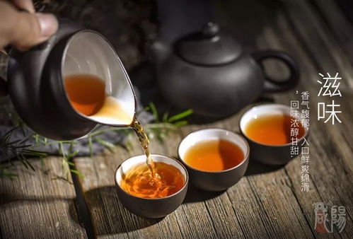泾阳茯茶 亮相首届陕西网上茶博会